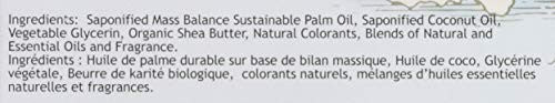 South of France Bar Soap Orange Blossom Honey (1x6 OZ)